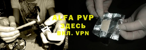 PSILOCYBIN Гатчина