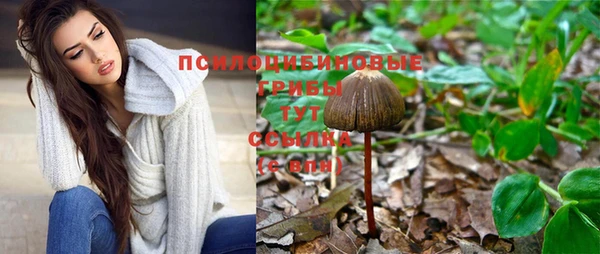 гашиш Аркадак